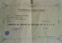 /album/galeria-de-fotos/foto-178-jpg1/